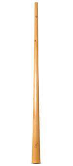 CrookedStixz Didgeridoo (AH414)